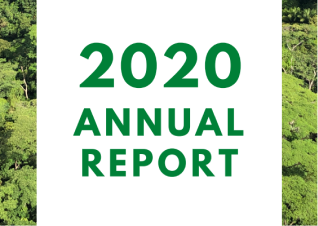 2020 Annual Report