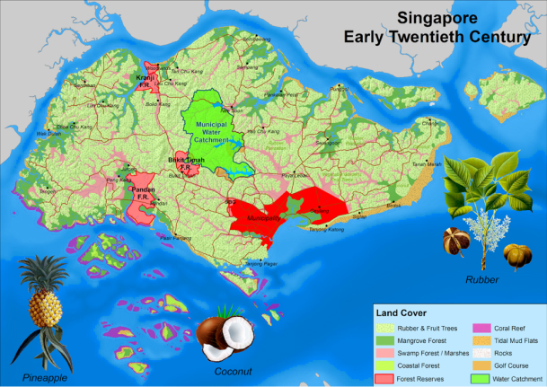 Singapore Early Twentieth Century