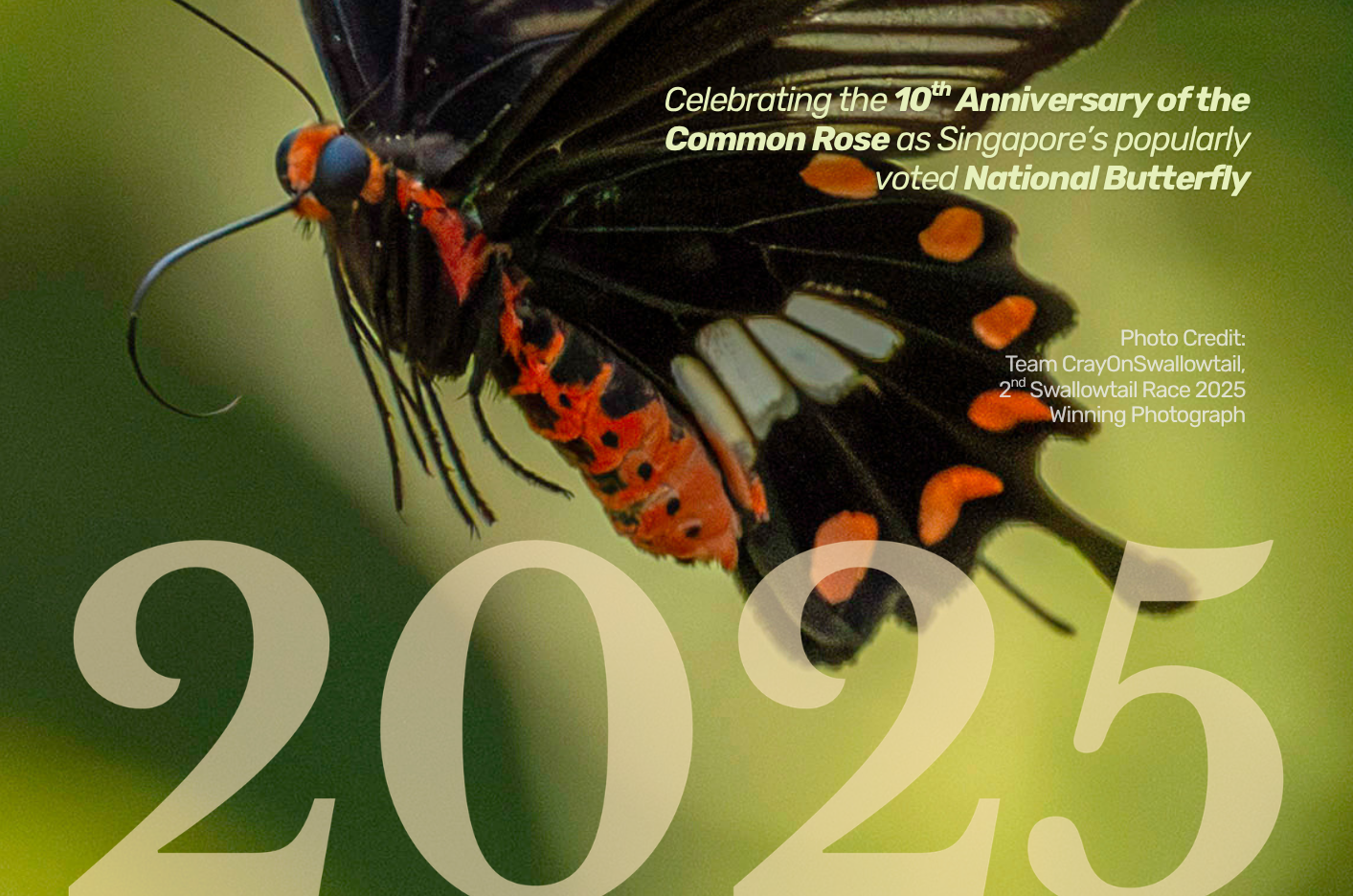 2025 Annual Report