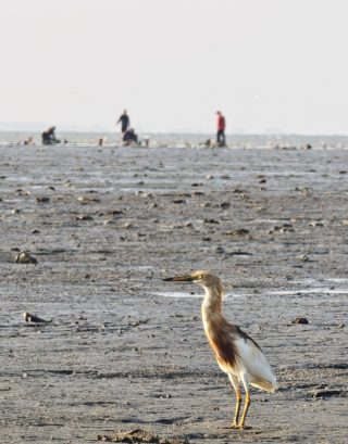 IMG_20260223_170523